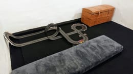 Oslava [Celebration]