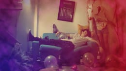 Very Bad Night