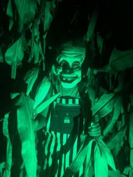 Haunted Corn Maze
