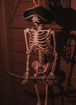Pirates Queen Anne's Revenge