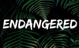 Endangered
