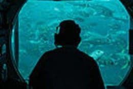 Under the Sea