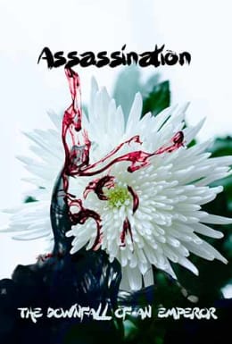 Assassination