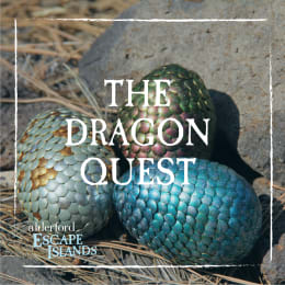 The Dragon Quest [Outdoor]