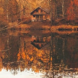 Cabin In The Woods