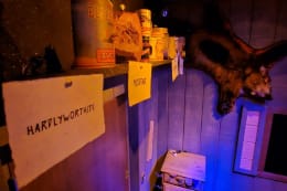 Dusty Pete’s Dynamite Mine