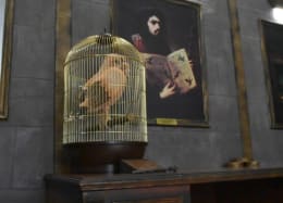 Schule Für Zauberei [School Of Magic]