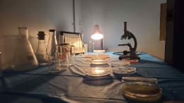 Asilo Mental [Mental Asylum]