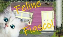 Feline Fiasco