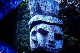 Curse of Mapuche