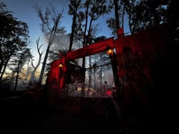 Diggers Trails of Terror