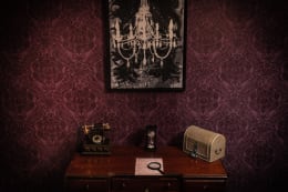 Cabinet of Curiosities