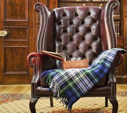 Der Professor [The Professor]