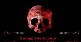 Swamp Fox Terror