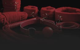 Erogén Zóna [Erogenous Zone]