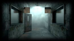Asylum