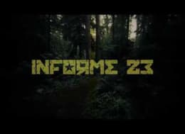 Informe 23