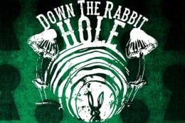 Down The Rabbit Hole