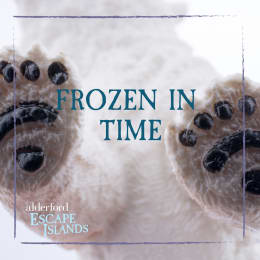 Frozen in Time [Outdoor]