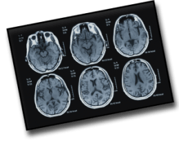 De Werkplaats [The Workplace]