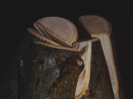 Magic Chaos [Magic Mess]