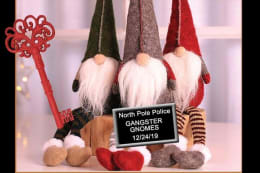 The Gangster Gnomes