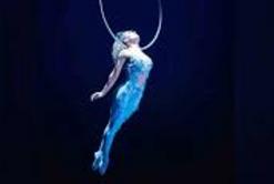 CSI : Crime Scene Investigation