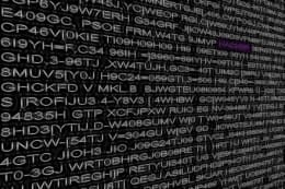 Das Staatsgeheimnis [The State Secret]