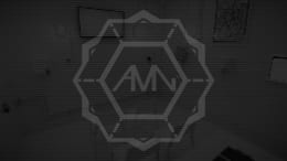Amnesia