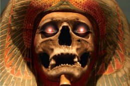 Curse Of The Mummy