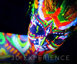 3D Experience