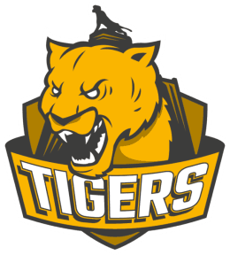 La Gran Final [The Grand Final]