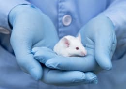 Dispensaire Zoologique