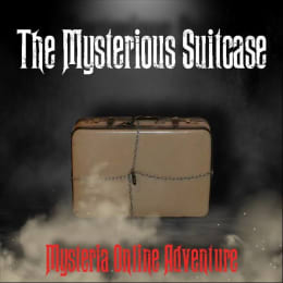 The Mysterious Suitcase