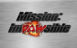 Mission Impawsible