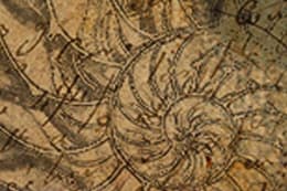 The Da Vinci Exhibit