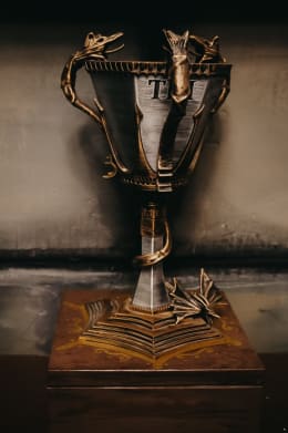 Turniej Trójmagiczny [Triwizard Tournament]