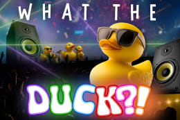 What the Duck?!