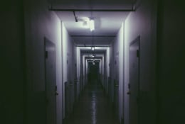 Pánico: Termalismo de Benicàssim [Panic: Benicassim Thermal Springs]