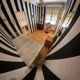 Zatvorenik [The Prisoner]