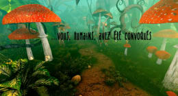 Le Coeur de Nadulritz [French Only]