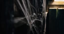 Das Geisterschiff  [The Gost Ship]