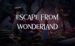 Escape From Wonderland