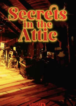 Secrets in the Attic