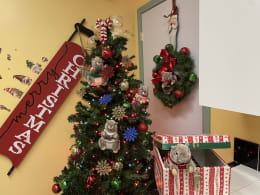 Noel's Nutty Christmas