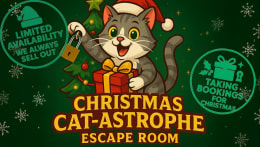 Christmas Cat-Astrophe