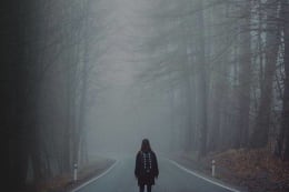 The Forest of Despair (Unknown Part 2)