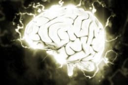 Der Verdacht [The Suspicion]