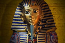 Pharaoh's Curse