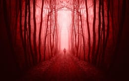 The Pig Farmer: Cult Of The 7 Sins [Outdoor]